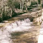 846927-20261018-213811-8cdf91