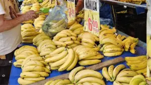 armazenamento de bananas