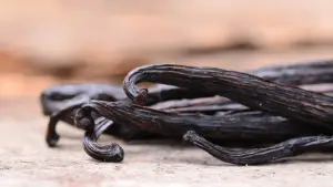 produção de baunilha com aranhas