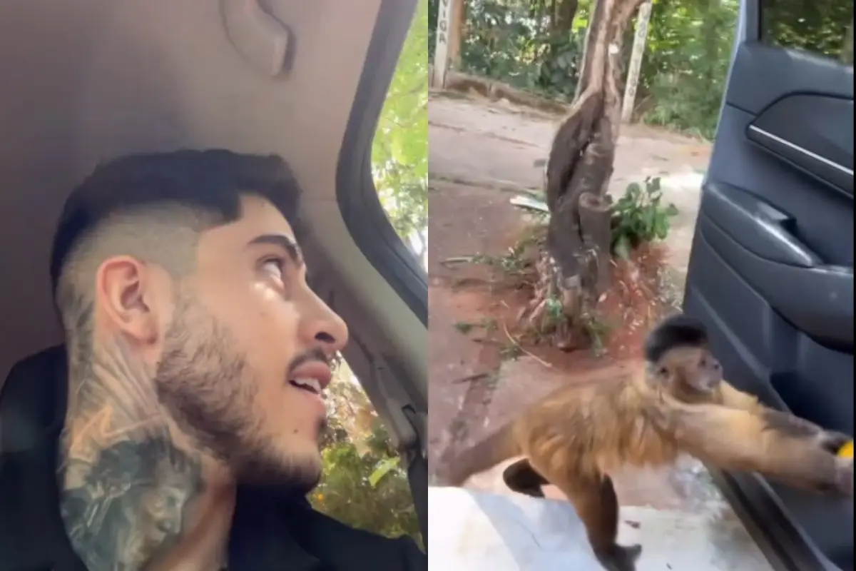 "Assalto" inusitado gravado por influenciador de Goiânia volta a repercutir nas redes sociais