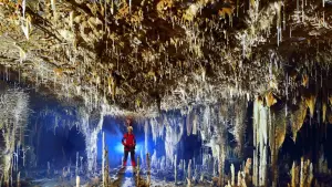 Caverna Parque Estadual de Terra Ronca