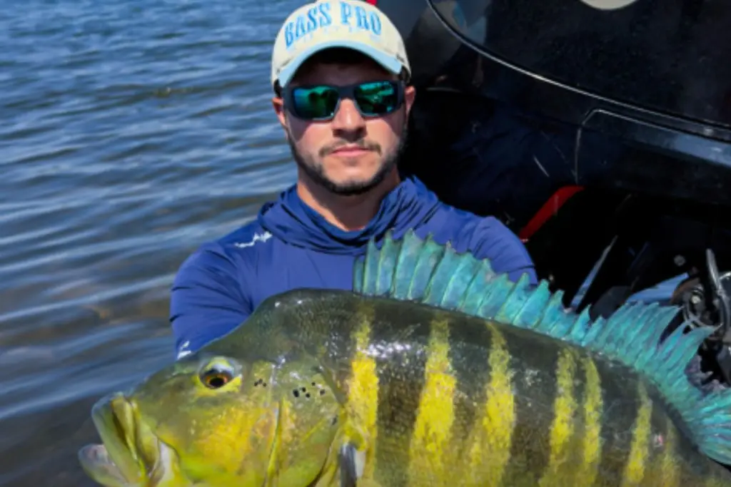 Pescador consegue fisgar tucunaré gigante e, na hora de medir, descobre que o tamanho se iguala ao maior recorde já registrado