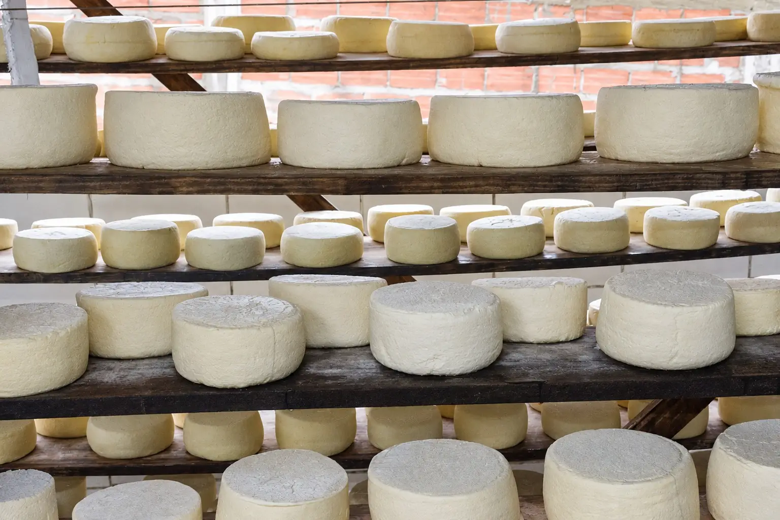Queijo de origem italiana virou tradição de 80 anos em cinco cidades de Goiás