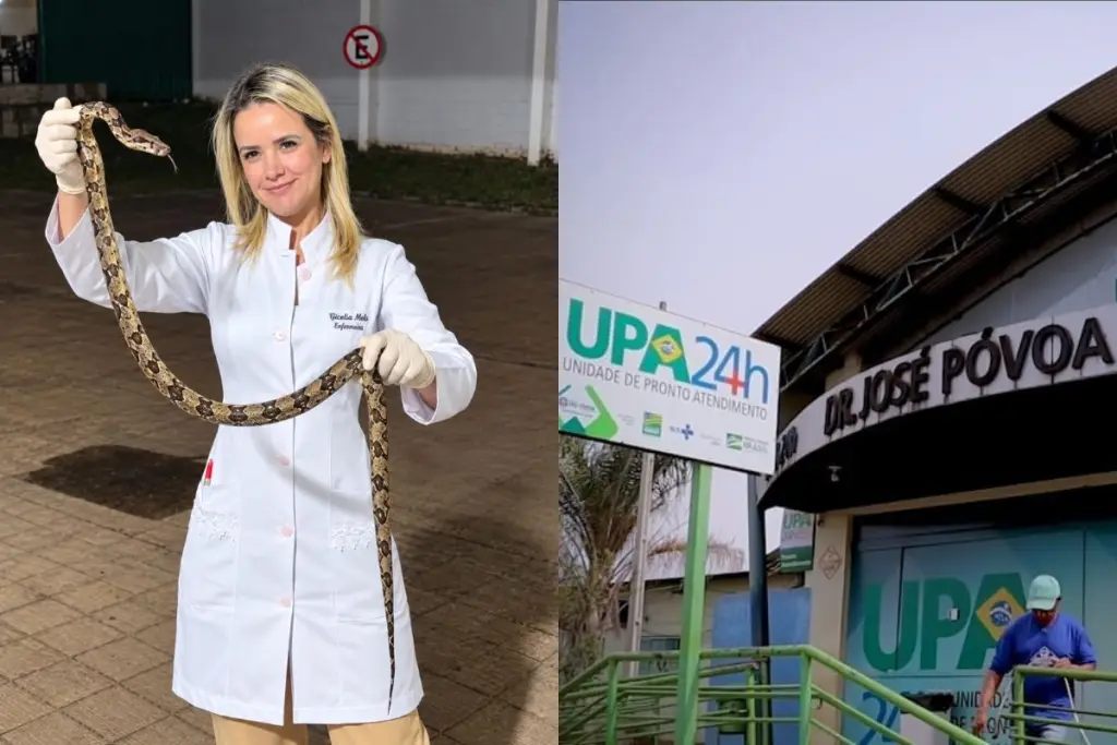 Goiana é picada por uma das cobras mais perigosas do mundo e, mesmo assim, consegue capturá-la e levá-la ao hospital