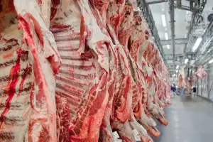 Mesmo com tarifaço, Goiás consegue aumentar exportações aos Estados Unidos em 30,5% e vende US$ 779,1 milhões