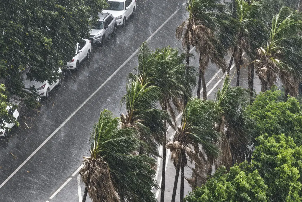 Chuva em Gyn