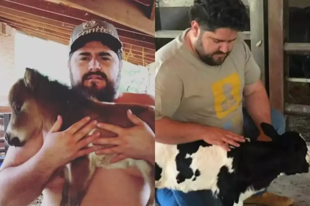 Fazenda de cantor sertanejo tem criação de minivacas, minibois, pôneis e porquinhos