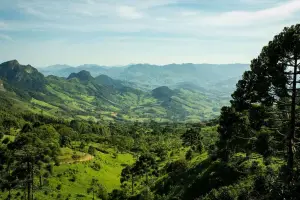panorama da Serra da Mantiqueira em Gonçalves, com vales, montanhas e araucárias