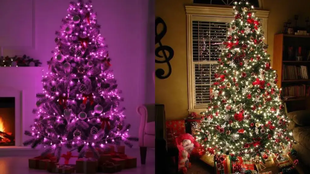 Natal pisca pisca