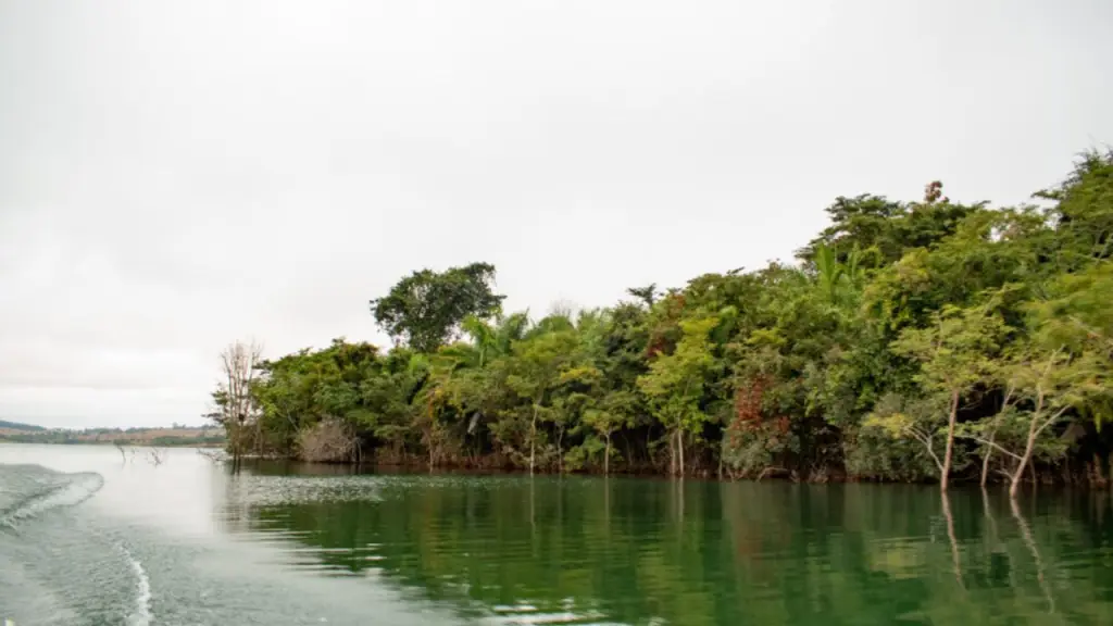 Parque Estadual da Mata Atlântica (PEMA)