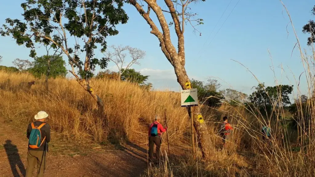Caminhantes percorrem trecho do Caminho de Cora Coralina, uma das rotas que integram a proposta do Caminho dos Goyazes