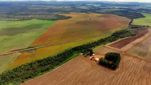Fazenda Santa Bárbara, em Ipameri, vai ser leiloada após acumular dívidas de R$ 12 milhões.