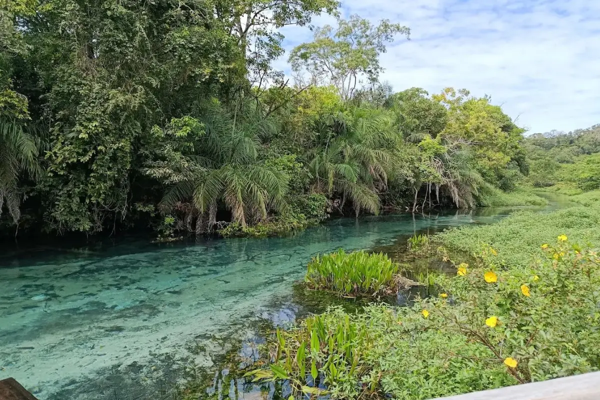 Rio Sucuri - Bonito, MS