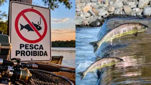 Piracema começa em novembro e restringe a pesca nos rios de Goiás até fevereiro de 2027