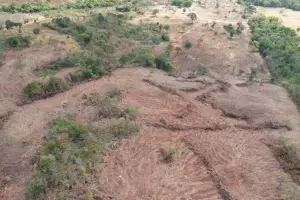 Fiscais flagram mais de 164 hectares de vegetação derrubados ilegalmente em Goiás e multas chegam a quase R$ 300 mil