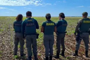 Fiscalização Ibama