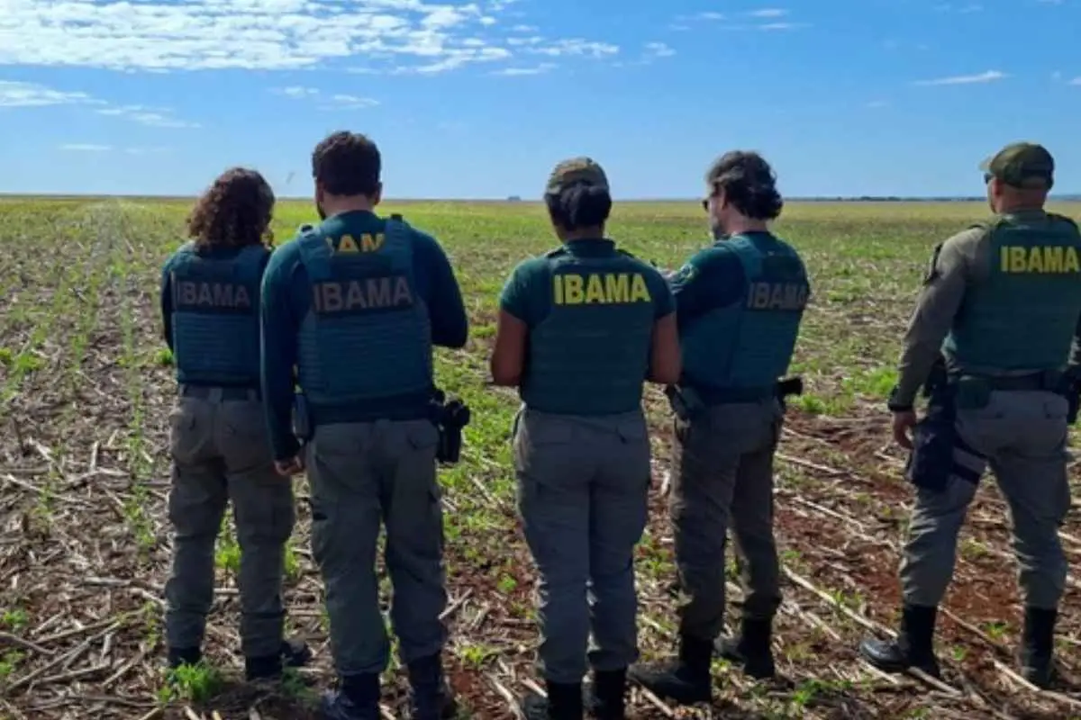 Fiscalização Ibama
