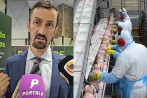 Analista de desenvolvimento industrial da Fieg falou sobre acordo comercial entre Mercosul e União Europeia